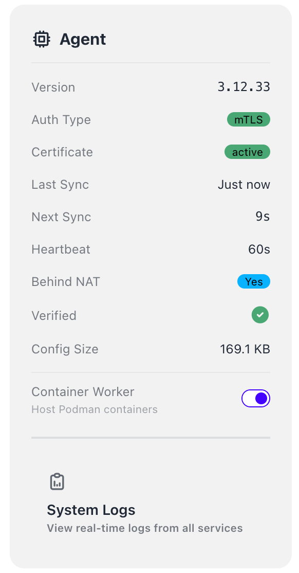 Agent — Version, mTLS, Certificate, Container Worker