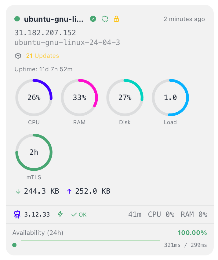 Agent Metrics — CPU, RAM, Disk gauges, mTLS, Availability