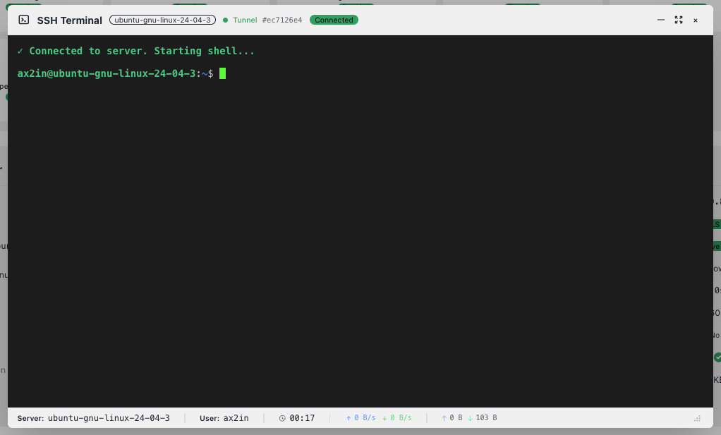 SSH Terminal in Browser