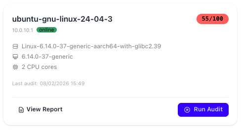 Lynis Security Audit
