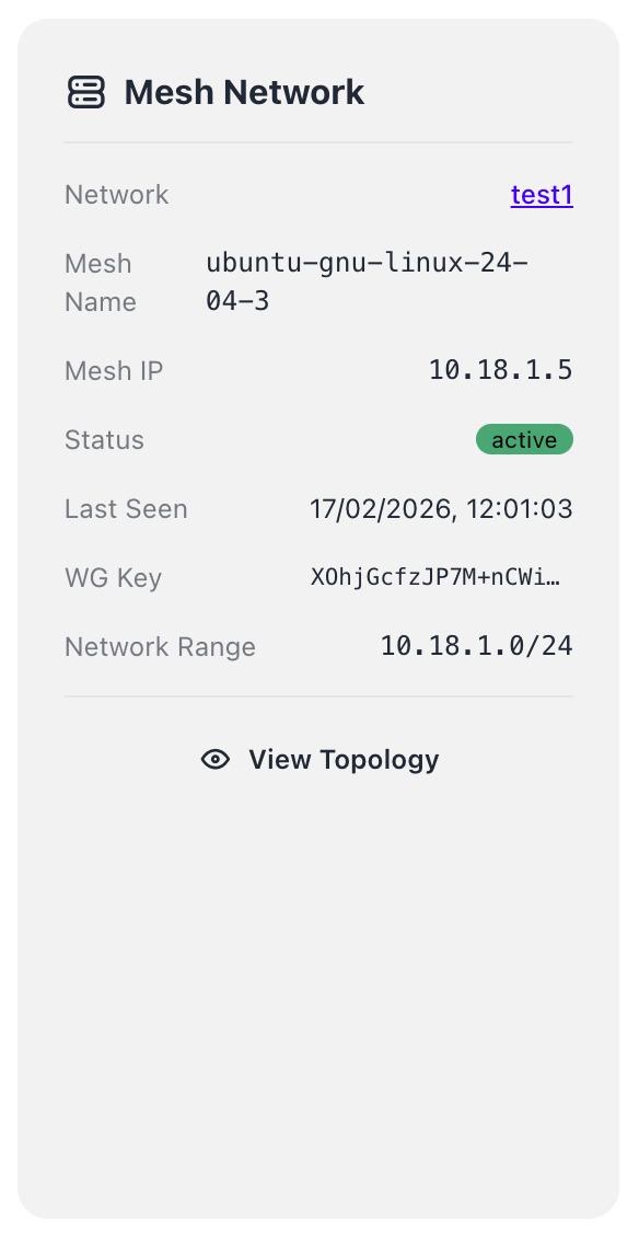 Mesh Network — WireGuard, Topology