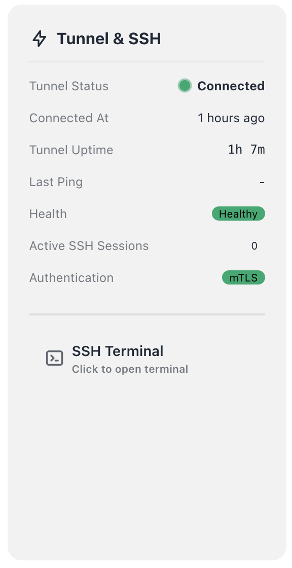 Tunnel & SSH — Connected, Healthy, mTLS